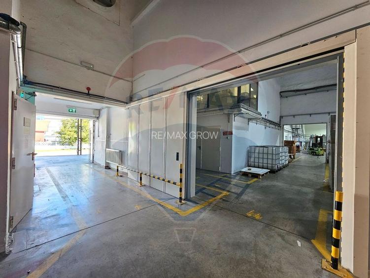 Hale Industriale 5065 mp de vanzare Str. Bradului - Bacau - 8