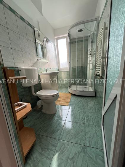 De inchiriat Apartament 2camere, zona Tudor Vladimirescu-Iulius Mall - 10