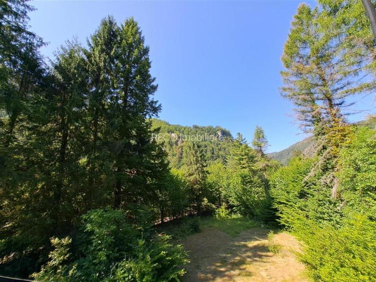 RECO Teren intravilan  Boga - 3