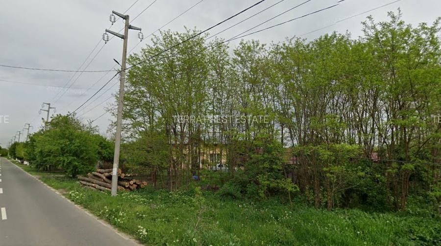 15000 euro pentru 900 mp! Intravilan Nuci, sat Merii Petchii - 5
