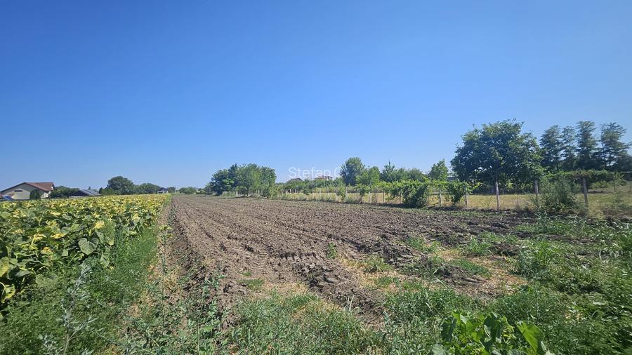 Teren intravilan 4000m2 - Cazasu, Braila - 7