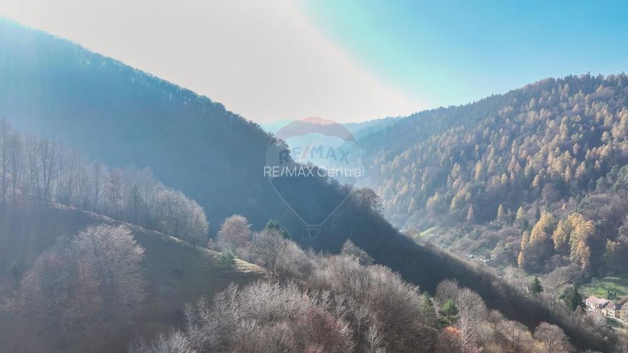 Teren Colinar Panoramic – 17.684 mp în Scheii Brașovului - 8