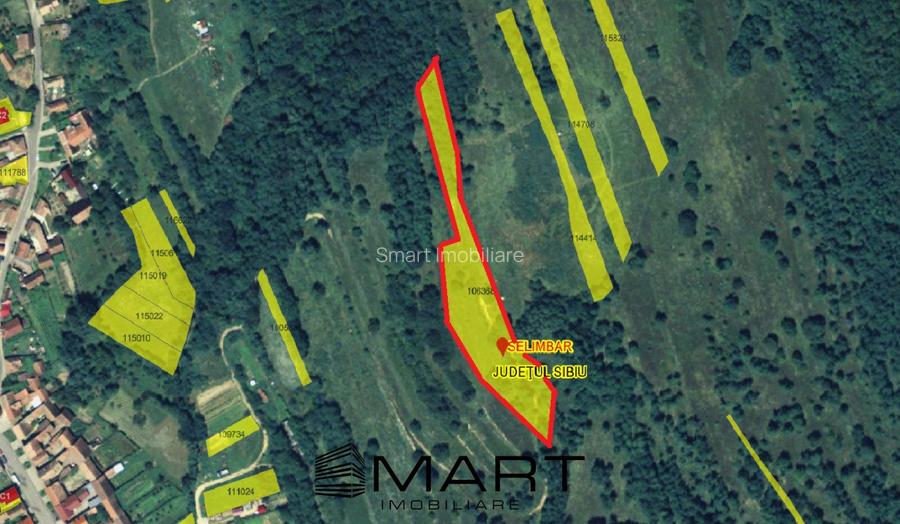 Teren extravilan 5500 mp, la padure zona Selimbar (Mohu) - 4