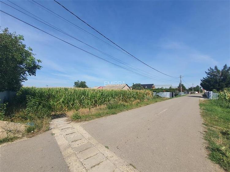 Teren 4900 mp de vanzare in sat Holt, Letea Veche, Bacau - 4