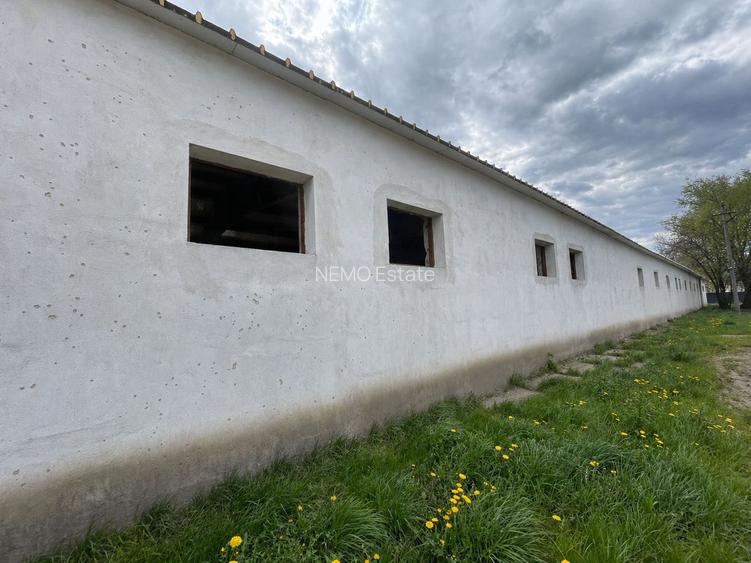 Hala Industrială / Agricolă | 800 MP Construcție + 800 MP Teren | - 9