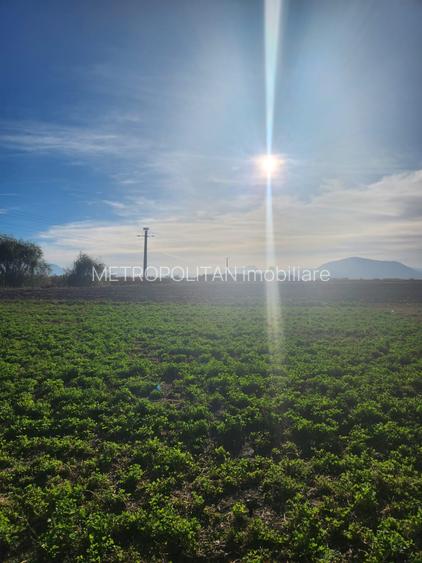 Vanzare loturi teren pentru case  cu utilitati Halchiu - 2