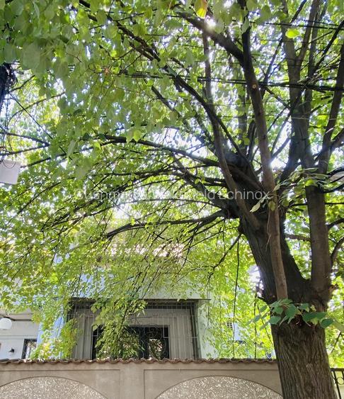 Domenii-Manastirea Casin-imobil cu arhitectura de vanzare intr-o zona selecta - 5