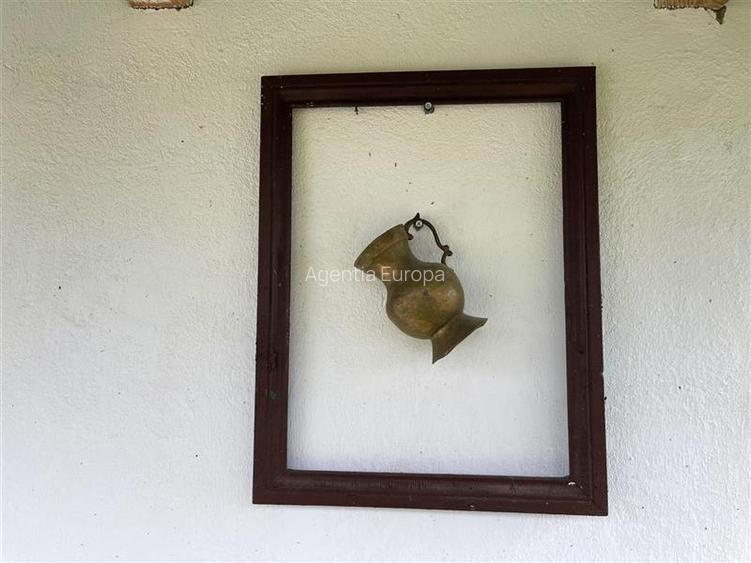 Casa de vanzare in Nufaru - 36