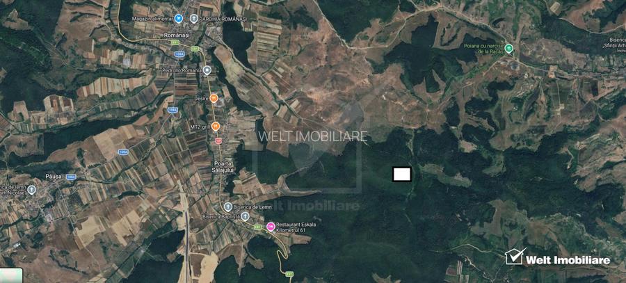 Padure de foioase 35.550MP, acces din loc. Romanasi 5km, jud. Salaj - 2