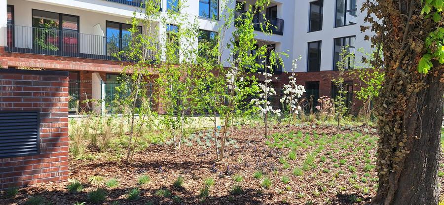 Apartament 2 camere, Zona Centrala - 3