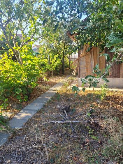 TEREN 510 MP ZONA PALAZU MARE - 10