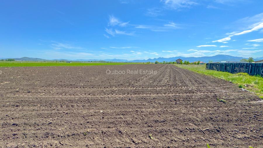 Teren intravilan, 1.7 hectare, Stupini Strada Barsei - 9