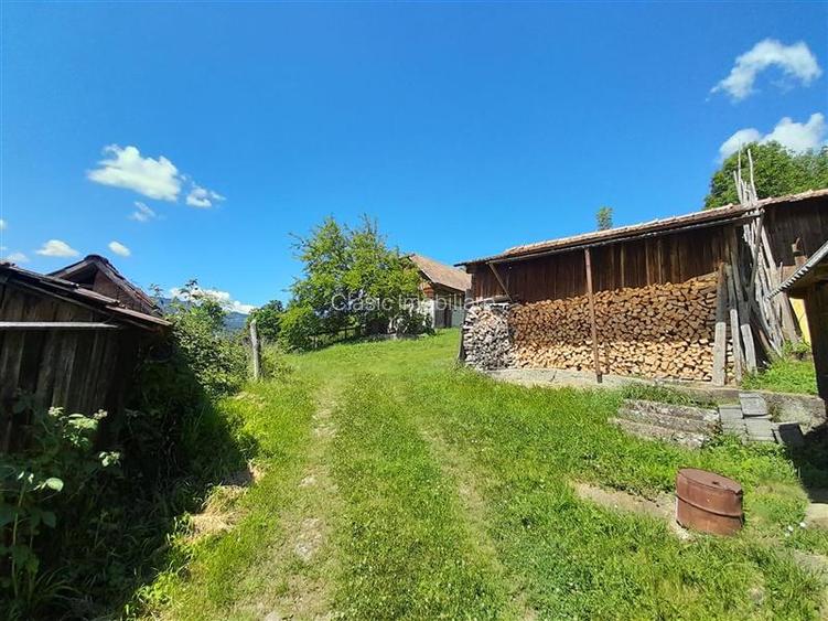 Vanzare casa cu anexe si 5500 mp teren, Valea Ariesului, Salciua - 5