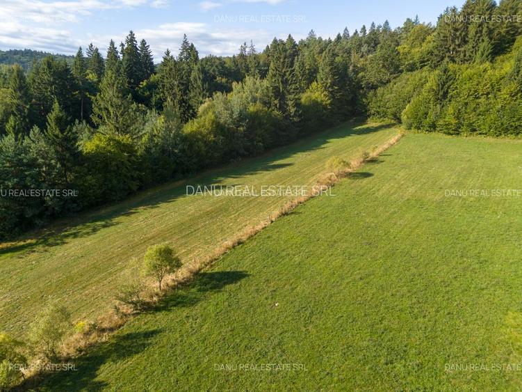 Teren Intravilan 3.300 mp in fata lacului  – Vulcan Brasov - 12