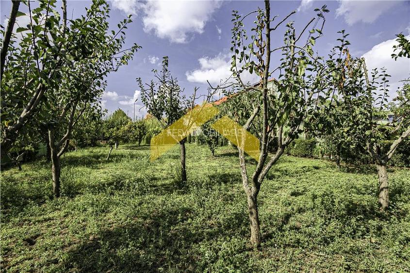 Casa 1000 mp si hala de vanzare Zadareni - 30