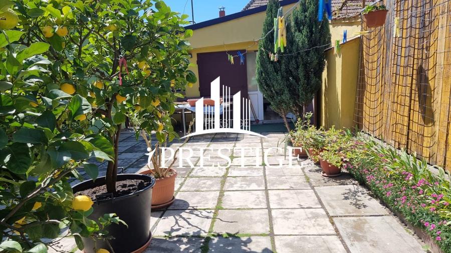 CASĂ DE VÂNZARE | 2 CORPURI CLĂDIRE | LAZARET | CURTE ȘI GRĂDINĂ - 25