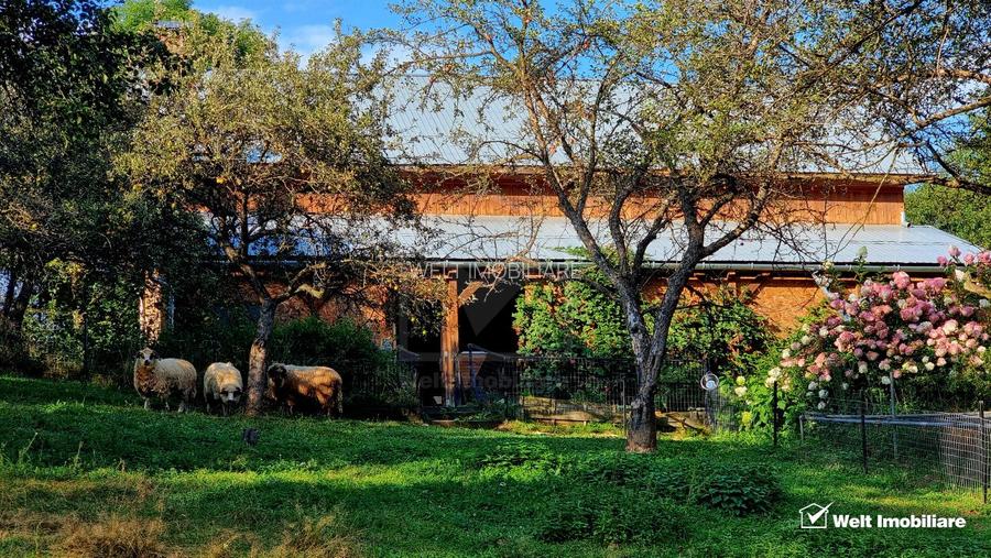 Casa de Poveste in Rasca, Cluj - Refugiul Ideal pentru  Relaxare - 21