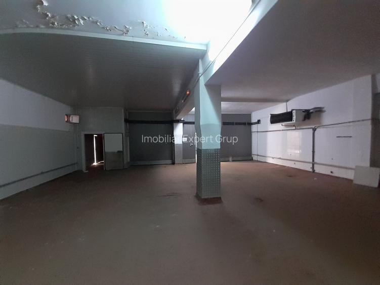 Hala 343 mp ideala industria alimentara, depozitare - 8