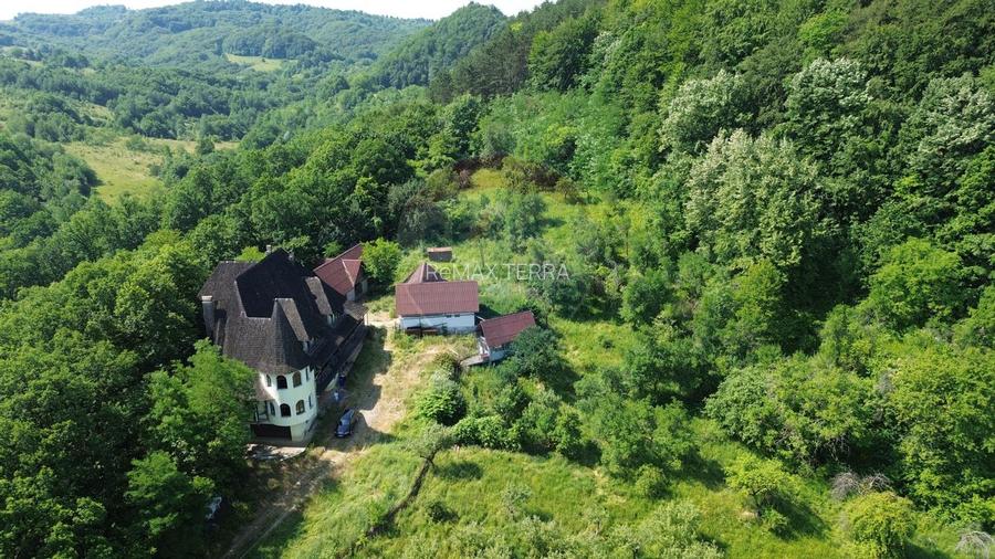 CASTEL DE VANZARE IN MARAMURES - 7