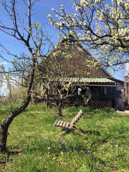 Teren de vis cu casă de vacanță în Oradea: livadă pe rod, panoramă superbă - 3