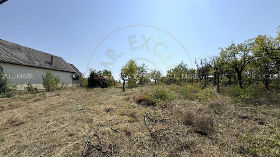 De vanzare Teren extravilan 2000 mp Carei - Gradina Viilor, Valea Tireamului - 4