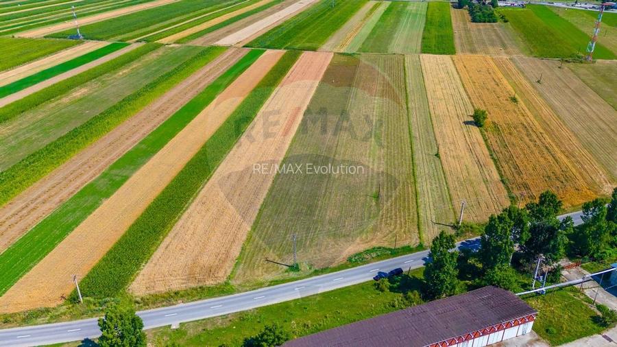 TEREN extravilan- 6 E/MP- CU PLANTATIE DE TRANDAFIRI! Teliu 7000mp - 2