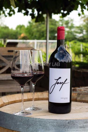 Pivnițele Birăuaș D.O.C Miniș - RATE FĂRĂ DOBÂNDĂ - 12