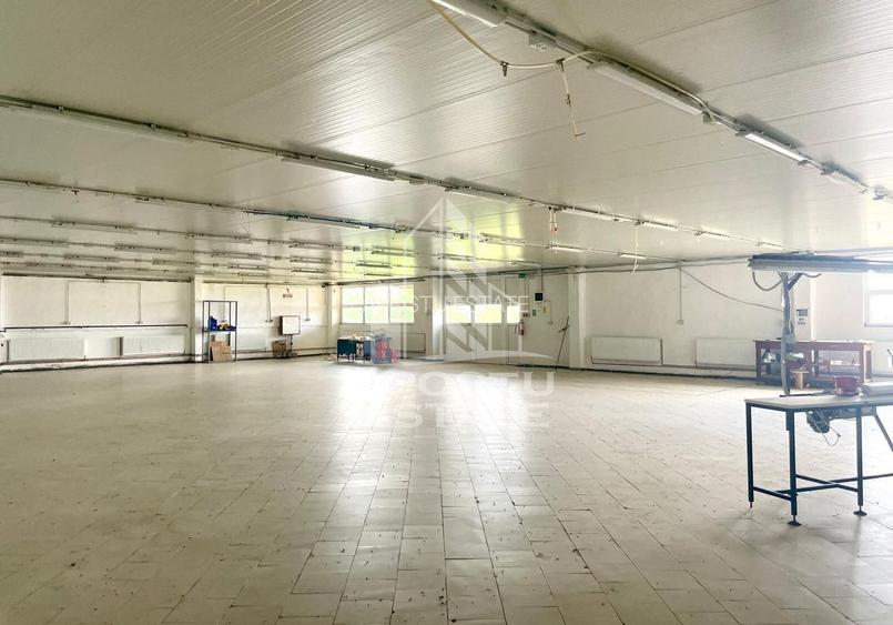 Spatii productie si depozitare, zona Sebis - Prunisor-Carand - 1