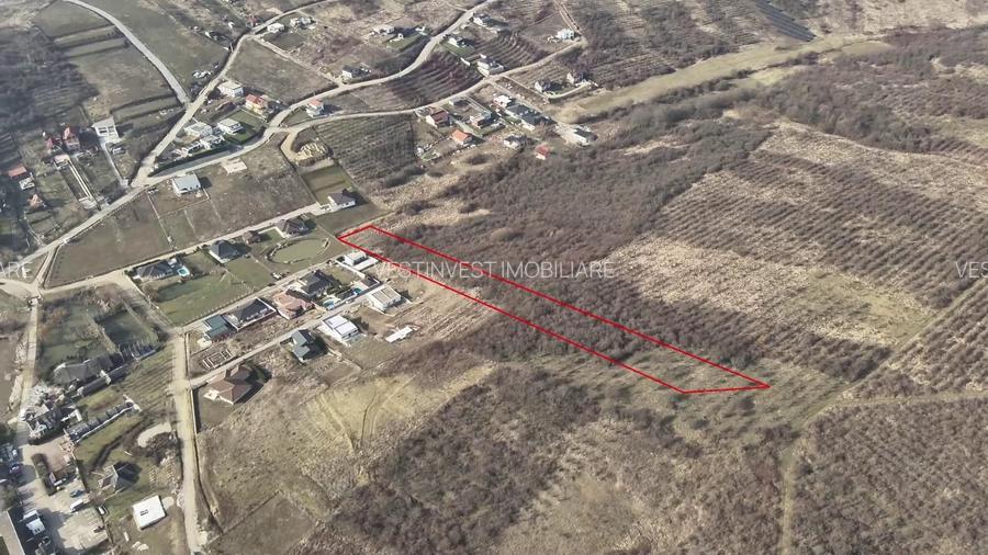 Teren Saldabagiu de Munte langa Hanul Pescarilor - 3