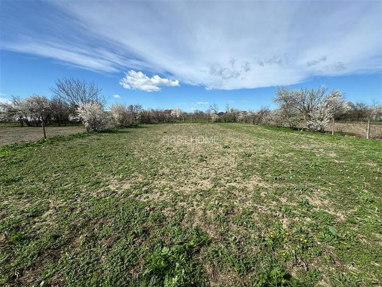 Casa noua de vanzare in Vulturu - Hângulesti 89.000 Euro - 30