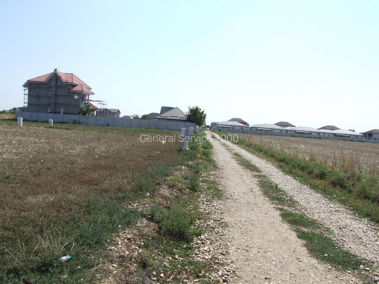 Domnesti-Ciocarliei, Afinului - 3