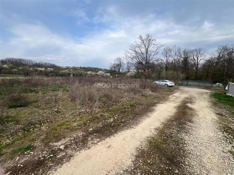 RECO Teren Saldabagiu de Munte, la 5 minute de spitalul TBC - 4