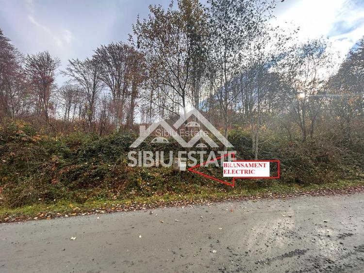 Oportunitate de investiție – Teren pentru hotel / pensiune pe Valea Avrigului - 2