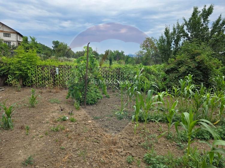 Comision 0! Casa din inima Subcarpaților — comuna Cislau, teren 5000mp - 22