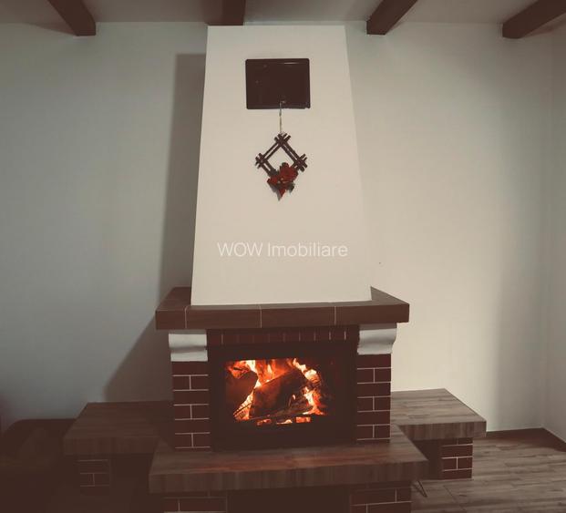 Casa de vacanta cu 5 camere si iesire la rau in Raul Sadului - 9