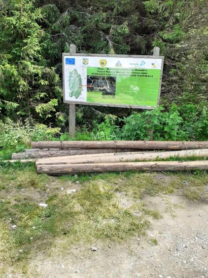 Teren Moroieni-Padina - 2