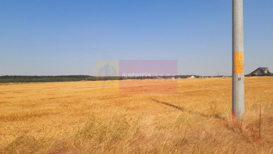 Teren pentru casă/case în Brănești pe strada Toporași - 26