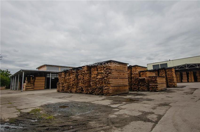 Hala industriala de 2700mp cu 3,1 ha teren intravilan in Miercurea Sibiului - 30