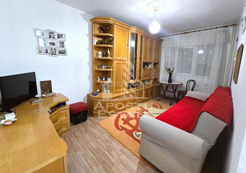 Garsoniera Micalaca Orizont - 3