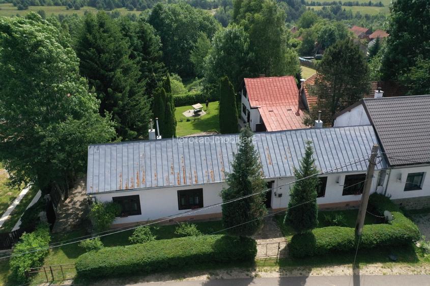 Proprietate de Vânzare în Brebu Nou-Ideală pentru Casă de Vacanță sau Investie - 2