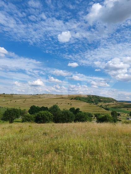 Teren intravilan ideal pentru casa, 4300 mp, Deusu - Chinteni