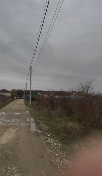 📍 Teren intravilan Premium – 538 mp | Aleea Bradului 59, Smeura – Moșoaia