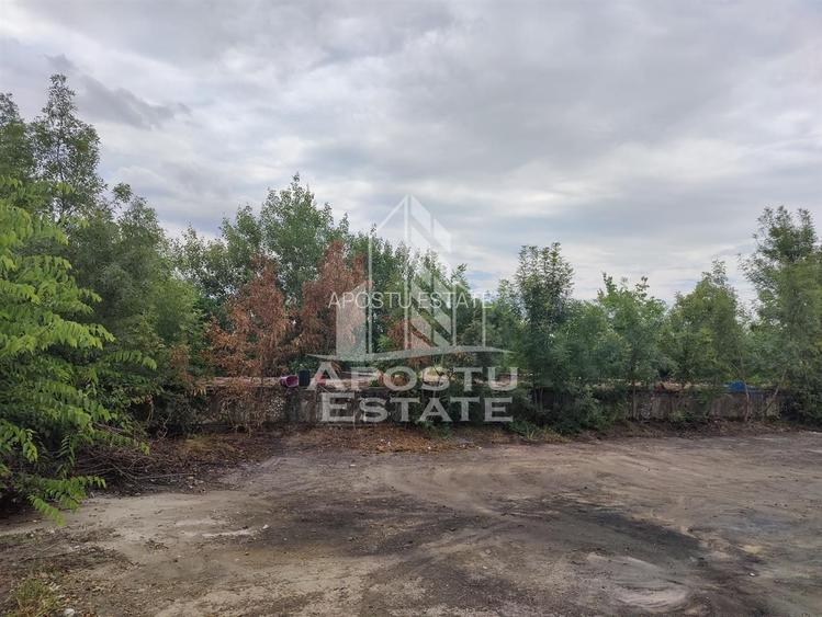 Teren 8000 mp  cu hala de 700 mp - 2