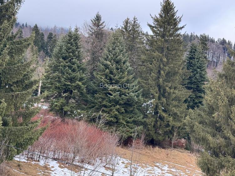 Apartament 2 camere  complex Chatel Doga Sinaia + loc parcare  inclus - 14