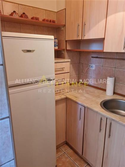 Metrou Costin Georgian 3 Min Garsoniera  30 mp - 4