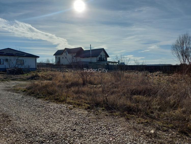 Loc de casa cu utilitati, 944mp cu 29m deschidere, Ciofliceni - Snagov! - 11