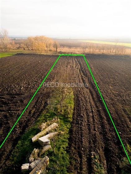 RECO, Doua case la pret de una, mobilate utilate, Zona Tarcea, Bihor - 47