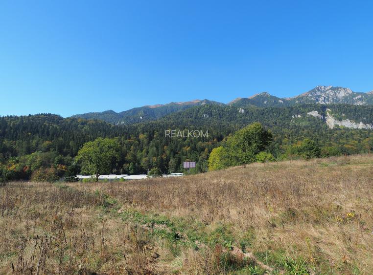 TEREN PENTRU DEZVOLTARE SINAIA-CUMPATU Str. Zamora-9.801 mp-Comision 0% - 25