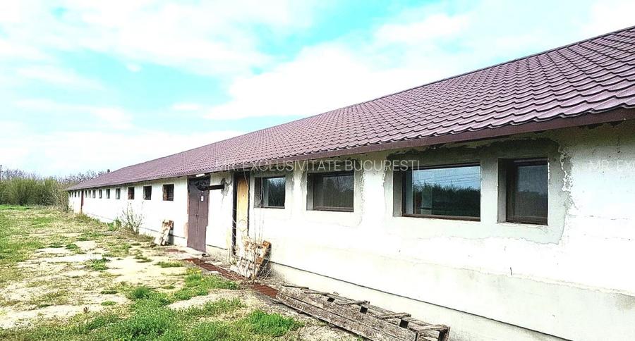 HALĂ INDUSTRIALĂ DE VÂNZARE – DB, CĂTUNU (TVA inclus) - 2