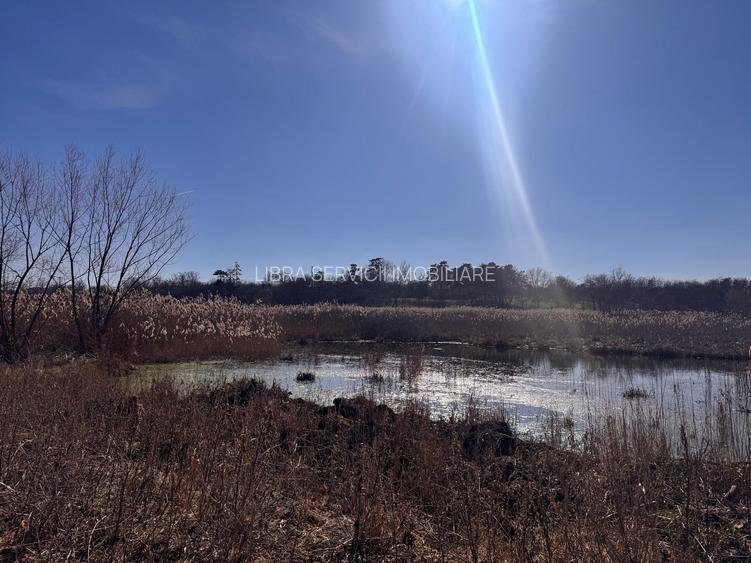 Periș, sat Brătulești, teren intravilan cu deschidere la lac - 5